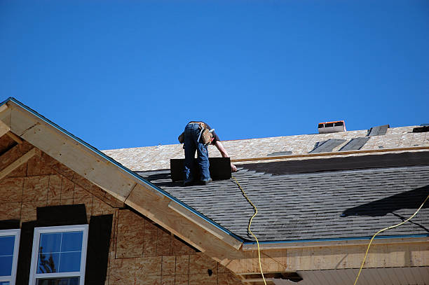 Roof Gutter Cleaning in Shiloh, IL