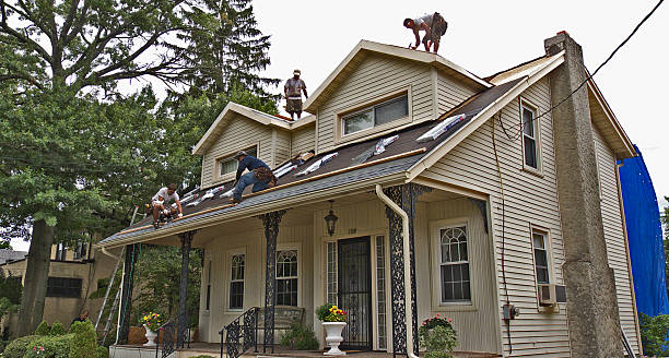 Best Roof Repair Services  in Shoh, IL