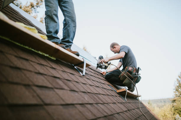 Best Storm Damage Roof Repair  in Shoh, IL
